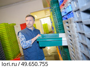 Worker selecting color coded plastic crate. Стоковое фото, агентство Ingram Publishing / Фотобанк Лори