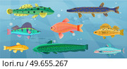 Underwater ocean fauna with fishes, seaweed and shells on sand. Ocean bottom with marine life reprsentatives. Marine underwater world with exotic fishes. Bright tropical fish floating on seabed. Tropical fish floating on seabed. Ocean bottom, underwater world with marine life reprsentatives. Стоковая иллюстрация, агентство Ingram Publishing / Фотобанк Лори