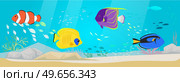 Underwater ocean fauna with exotic fishes. Ocean bottom with marine life reprsentatives. Marine underwater world with school of tropical fish. Seascape, undersea landscape vector illustration. Underwater ocean world with exotic fishes. Ocean bottom with marine life, school of tropical fish. Стоковая иллюстрация, агентство Ingram Publishing / Фотобанк Лори