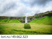 Waterfall giving water to a small bush on a green field in Iceland. Стоковое фото, агентство Ingram Publishing / Фотобанк Лори