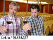 portrait of men drinking wine. Стоковое фото, агентство Ingram Publishing / Фотобанк Лори