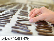 chocolate sticks. Стоковое фото, агентство Ingram Publishing / Фотобанк Лори