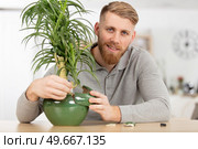 man standing at home near a plant. Стоковое фото, агентство Ingram Publishing / Фотобанк Лори