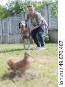dedicated girl training dog in kennel. Стоковое фото, агентство Ingram Publishing / Фотобанк Лори
