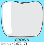 Metal-ceramic fixed prosthesis. Crown for simulating anatomical shape of tooth. Tool for installing implant for of diseased tooth replacement. Element for dental procedures and teeth treatment. Metal-ceramic fixed prosthesis. Crown for simulating anatomical shape of teeth, tooth implant. Стоковая иллюстрация, агентство Ingram Publishing / Фотобанк Лори