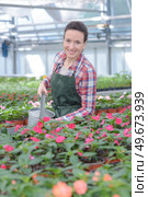 pleasant attractive professional watering flowers. Стоковое фото, агентство Ingram Publishing / Фотобанк Лори