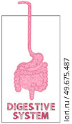 Polygonal stomach and intestines. Medical research of internal organs, innovative approach concept. Human digestive system illustration. Modern depiction of organs for digesting and assimilating food. Polygonal stomach and intestines. Modern depiction of digestive system organs for digesting food. Стоковая иллюстрация, агентство Ingram Publishing / Фотобанк Лори