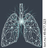 Anatomical human lungs with painful area. Innovative technology in medicine, disease diagnostics concept. Organ of human respiratory system. Poligonal depiction of bronchitis, pneumonia in lung. Poligonal depiction of bronchitis, pneumonia in lungs. Internal organ of human respiratory system. Стоковая иллюстрация, агентство Ingram Publishing / Фотобанк Лори