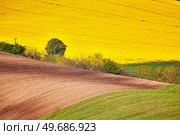 Amazing green and yellow rape spring fields Landscape. Agriculture Rural scene. Czech Moravia colza canola farmland bloom. Sunny waving hills. Minimalistic nature background. Стоковое фото, агентство Ingram Publishing / Фотобанк Лори
