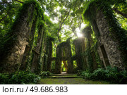 A lush green forest with vines growing on the walls of a building. Стоковое AI-изображение, AI-художник Ярославский Максим / Фотобанк Лори