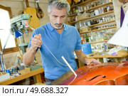 lute maker shop and acoustic music instruments. Стоковое фото, агентство Ingram Publishing / Фотобанк Лори
