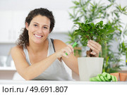 a happy woman trimming bonsai tree. Стоковое фото, агентство Ingram Publishing / Фотобанк Лори