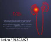 Polygonal human kidneys made of red lines and dots. Medical research of internal organs, innovative approach concept. Organ of human urinary system. Modern depiction of kidney for urine excretion. Polygonal human kidneys made of red lines and dots. Organ for urine excretion, human urinary system. Стоковая иллюстрация, агентство Ingram Publishing / Фотобанк Лори