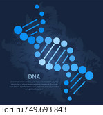 Genetic science. DNA molecule laboratory scientific research, gene structure information. Biological or behaviour experiments, medicine microbiology vector banner. Biotechnology, genome engineering. Genetic science. DNA molecule laboratory scientific research, gene structure information banner. Стоковая иллюстрация, агентство Ingram Publishing / Фотобанк Лори
