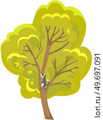 Alone deciduous tree with trunk and dense foliage. High plant with widely spread branches and green leaves. Broad-stemmed deciduous plant. Tree with green foliage isolated on white background. Deciduous tree with trunk and dense foliage. High plant with widely spread branches and green leaves. Стоковая иллюстрация, агентство Ingram Publishing / Фотобанк Лори