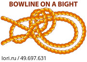 Yellow nautical rope knot, interweaving of ropes, cables, tapes or other flexible linear materials. Bowline on a bight isolated on white. Household binding and fastening unit for permanent fastening. Bowline on a bight isolated on white. Household binding and fastening unit for permanent fastening. Стоковая иллюстрация, агентство Ingram Publishing / Фотобанк Лори