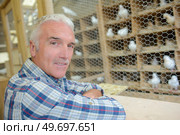 a man in a pigeon loft. Стоковое фото, агентство Ingram Publishing / Фотобанк Лори