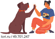 Female pet owner plays with dog. Caring for four-footed friend concept. Happy lady with puppy, domestic animal isolated on white. Dog follows command, gives paw to woman. Girl training doggy give five. Happy lady with puppy, domestic animal in cozy living room. Dog follows command, gives paw to woman. Стоковая иллюстрация, агентство Ingram Publishing / Фотобанк Лори