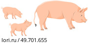 Pink pig, domestic farm animal. Sow with piglets. Piggy or swine, artiodactyl mammal vector. Farming, agriculture and livestock breeding. Domesticated animal, farm pig for meat and fat production. Pink pig, domestic farm animal for meat and fat production. Farming and livestock breeding. Sow with piglets. Стоковая иллюстрация, агентство Ingram Publishing / Фотобанк Лори