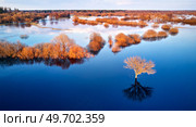 Spring flood rural landscape. Trees, meadow, bushes, fields, country road under High Water inundation. Sky, clouds reflection in evening light. Freshet Overflow aerial view. Floodplain area. Belarus. Стоковое фото, агентство Ingram Publishing / Фотобанк Лори