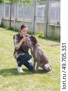 kennel volunteer playing with abandoned older dog. Стоковое фото, агентство Ingram Publishing / Фотобанк Лори