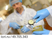 close up of food inspectors. Стоковое фото, агентство Ingram Publishing / Фотобанк Лори