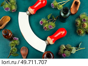Burdock plant with flowers, herbal medicine. Top view. Healing plant burdock with flowers. Стоковое фото, агентство Ingram Publishing / Фотобанк Лори
