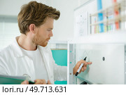Man charting graph on whiteboard. Стоковое фото, агентство Ingram Publishing / Фотобанк Лори
