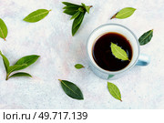 Fresh tea from bay leaf in cup. Space for text.. Calming healing tea from bay leaves. Стоковое фото, агентство Ingram Publishing / Фотобанк Лори