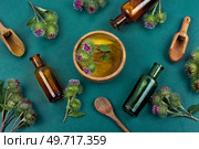 Burdock plant with flowers, herbal medicine. Herbal medicine concept. Top view. Burdock plant with flowers. Стоковое фото, агентство Ingram Publishing / Фотобанк Лори