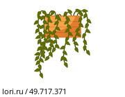 House and home plant. Vector illustration. An interior potted plant can be real game changer in trendy home decor with plants Make your home plant in flowerpot centerpiece your room decoration. House and home plant. Vector. Use plants in decorative containers to bring different textures and colors into your room decoration gardening project. Стоковая иллюстрация, агентство Ingram Publishing / Фотобанк Лори