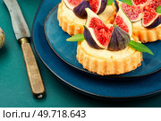 Tasty tartlets with cream and figs. Sweet tartlets with fresh berries.. Tartlets with cream and figs. Стоковое фото, агентство Ingram Publishing / Фотобанк Лори