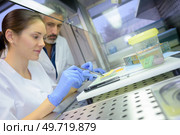 concept of forensic science investigation. Стоковое фото, агентство Ingram Publishing / Фотобанк Лори