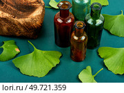 Ginkgo biloba leaves in traditional Chinese medicine. Herbal medicine. Ginkgo biloba leaves, homeopathy concept. Стоковое фото, агентство Ingram Publishing / Фотобанк Лори