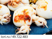 Fried squid or calamari served with nut salad. Roasted whole calamari.. Grilled squids with nuts. Стоковое фото, агентство Ingram Publishing / Фотобанк Лори