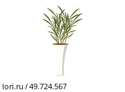 House and home plant. Vector illustration. Room decoration gardening offers countless possibilities to show off your home plant in flowerpot A stylish planter and pot can dramatically enhance. House and home plant. Vector. The health interior potted plant is crucial for maintaining appeal your trendy home decor with plants. Стоковая иллюстрация, агентство Ingram Publishing / Фотобанк Лори