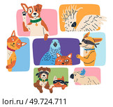 Spying, observing and sneaking. Vector illustration. Spying person, quiet observer immersed in art of vigilance Making observation, action of deciphering unseen Characters peeping, silent figures. Spying, observing and sneaking. Spying person, silent sentinel tracing unnoticed details Making observation, art. Стоковая иллюстрация, агентство Ingram Publishing / Фотобанк Лори