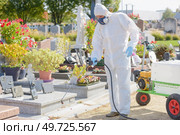 portrait of man killing weeds in cemetery. Стоковое фото, агентство Ingram Publishing / Фотобанк Лори