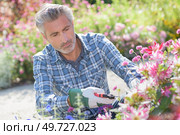 a gardener is tending flowers. Стоковое фото, агентство Ingram Publishing / Фотобанк Лори