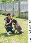 dedicated girl training dog in kennel. Стоковое фото, агентство Ingram Publishing / Фотобанк Лори