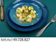 Roasted or seared scallops with green on a plate. Roasted scallops on a plate. Стоковое фото, агентство Ingram Publishing / Фотобанк Лори
