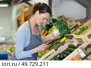vegetable stall vendor using a tablet. Стоковое фото, агентство Ingram Publishing / Фотобанк Лори