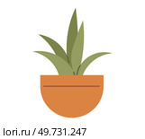 Flower pot. Vector illustration. The flowering plants in garden create vibrant and colorful landscape The garden is teeming with diverse range flowers and plants The blossoming cherry trees signal. Flower pot. The blooming roses in garden are sight to behold. The bloomy meadows are treat for nature enthusiasts. Стоковая иллюстрация, агентство Ingram Publishing / Фотобанк Лори