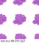 Seamless pattern flowers vector illustration. The seamless design seamlessly blended botanical elements into cohesive composition The endless repetition seamless pattern symbolized cyclic nature. Seamless pattern flowers. The seamless pattern flowers added decorative touch to design. Стоковая иллюстрация, агентство Ingram Publishing / Фотобанк Лори