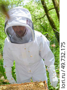 a male beekeeper at work. Стоковое фото, агентство Ingram Publishing / Фотобанк Лори