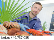 Portrait of fishmonger framed behind fanned plants. Стоковое фото, агентство Ingram Publishing / Фотобанк Лори