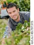 male worker tending to a hedge. Стоковое фото, агентство Ingram Publishing / Фотобанк Лори