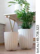 Two white planters with plants on the floor. Стоковое фото, фотограф Роготнева Виктория / Фотобанк Лори