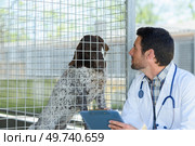 portrait of an animal carer and dog. Стоковое фото, агентство Ingram Publishing / Фотобанк Лори