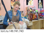 pet grooming business. Стоковое фото, агентство Ingram Publishing / Фотобанк Лори